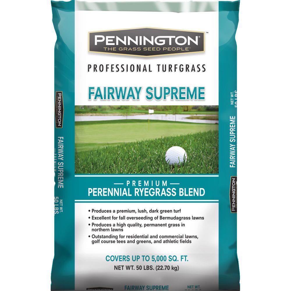 LESCO Double Eagle Turf Type Perennial Ryegrass Blend Seed018793 The