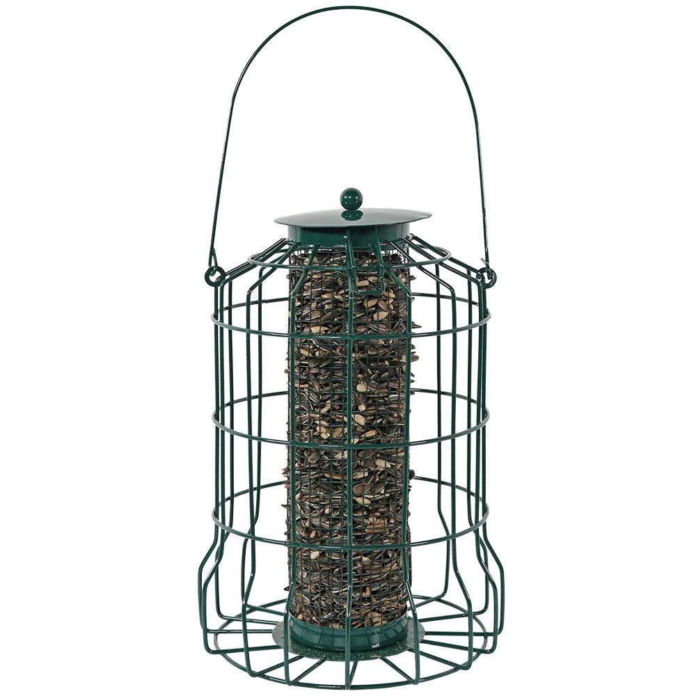 Sunnydaze Decor Outdoor Garden Green Wire Squirrel Proof Caged