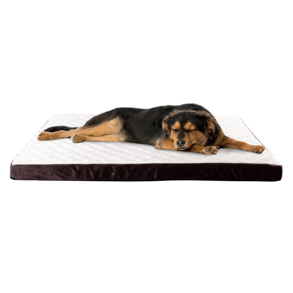 home depot pet beds