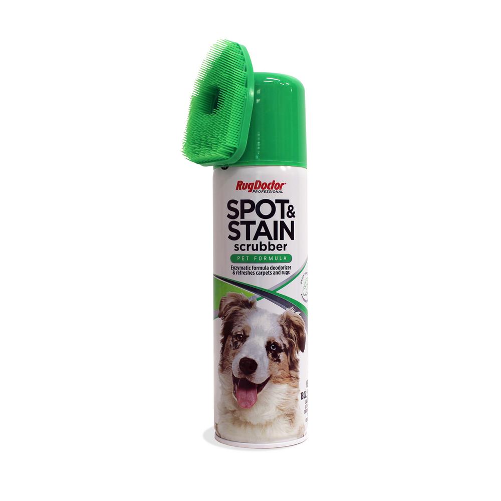 rug doctor pet stain remover