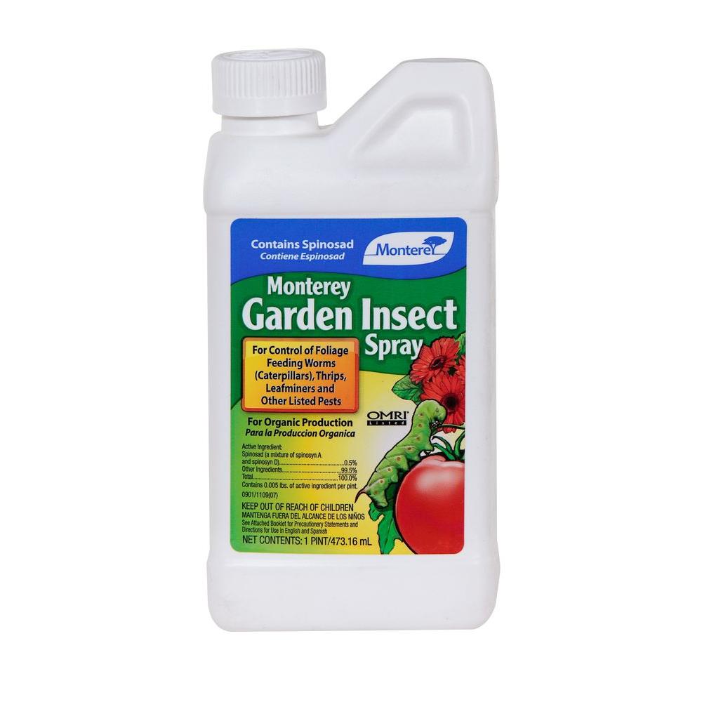 Home depot bug spray for plants information