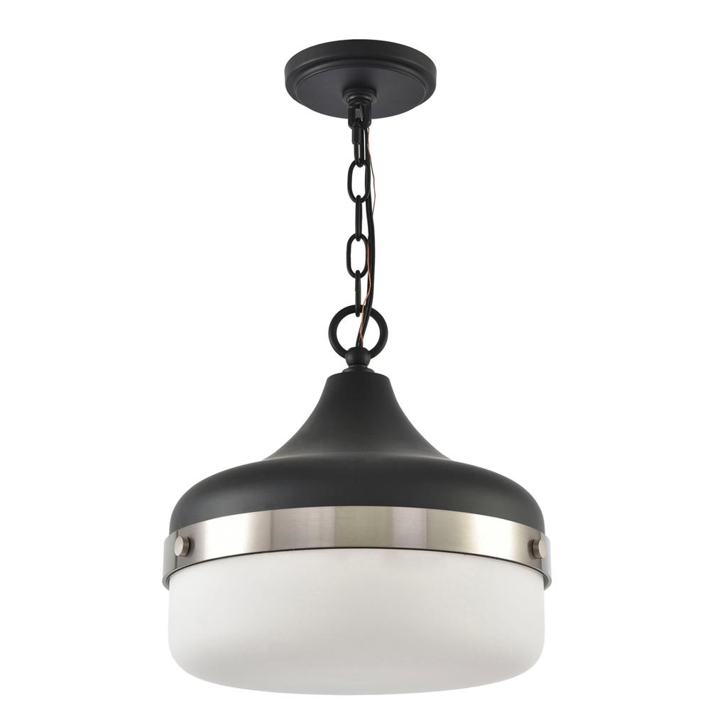 DSI Lighting 1Light Black Pendant with Frosted Shade DiffuserDS18951