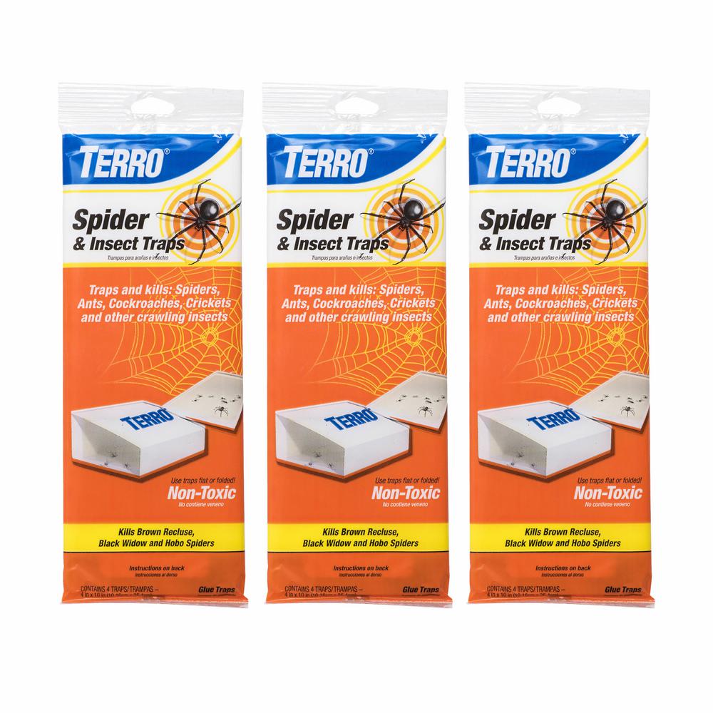 TERRO Non-Toxic Spider and Insect Trap (3-Pack)-T3206SR - The Home Depot