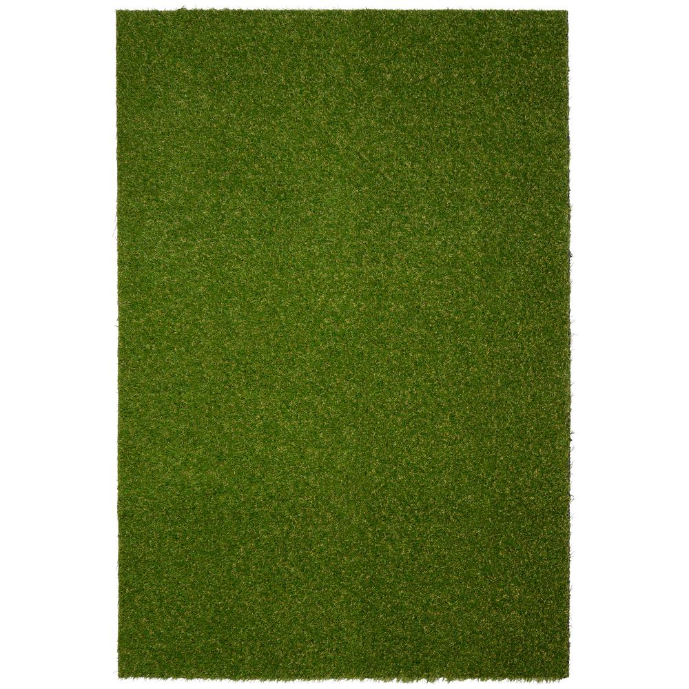 Indoor Outdoor Carpet The Home Depot Artificial