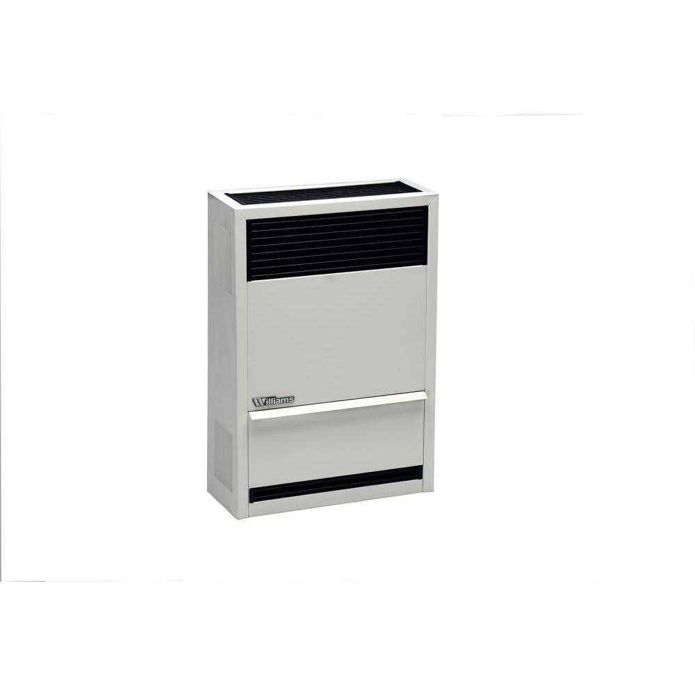 Williams 14,000 BTU/Hr DirectVent Wall Furnace Natural Gas1403822 The Home Depot