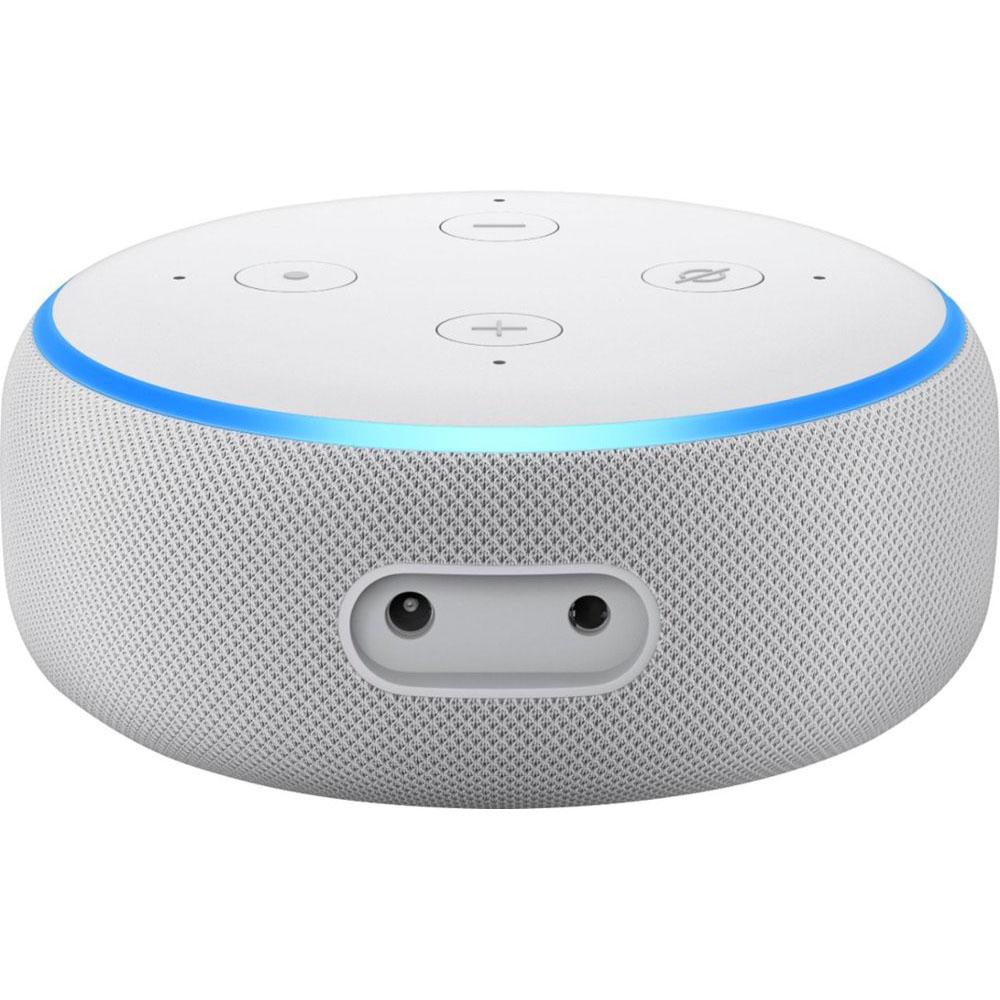 echo dot plus smart plug