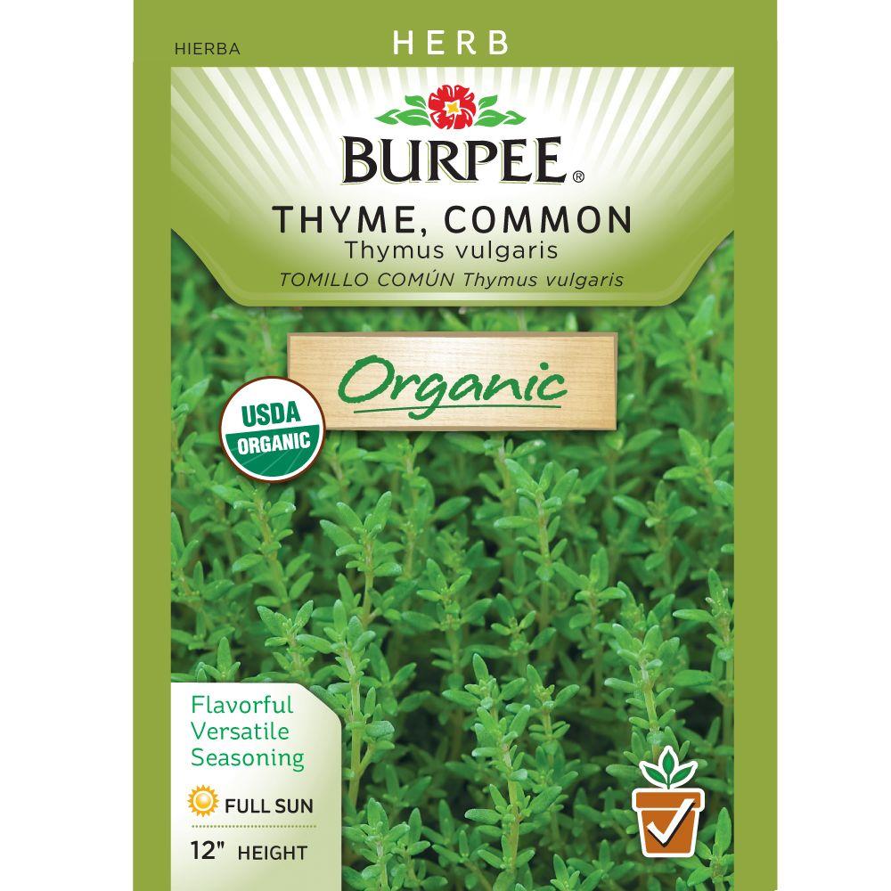 Burpee Herb Organic Thyme Seed60782 The Home Depot