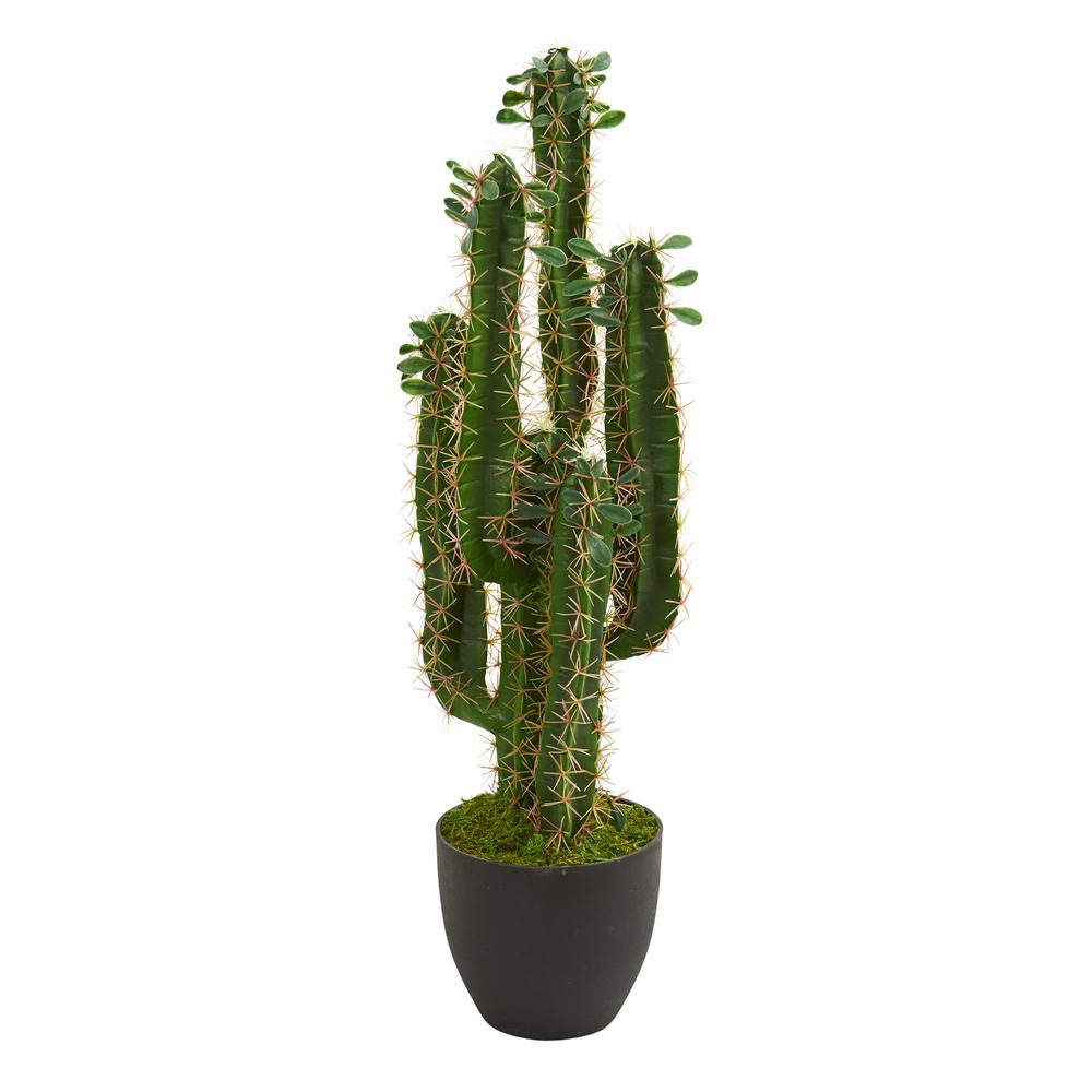 Nearly Natural Indoor  2 5 ft Cactus Artificial Plant  6330 