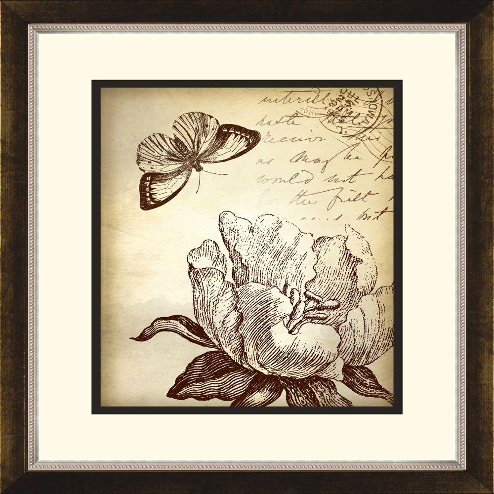 19 5 In X Sea S A Framed Wall Art 1 10536a The Botanical Erfly A Framed Wall Art