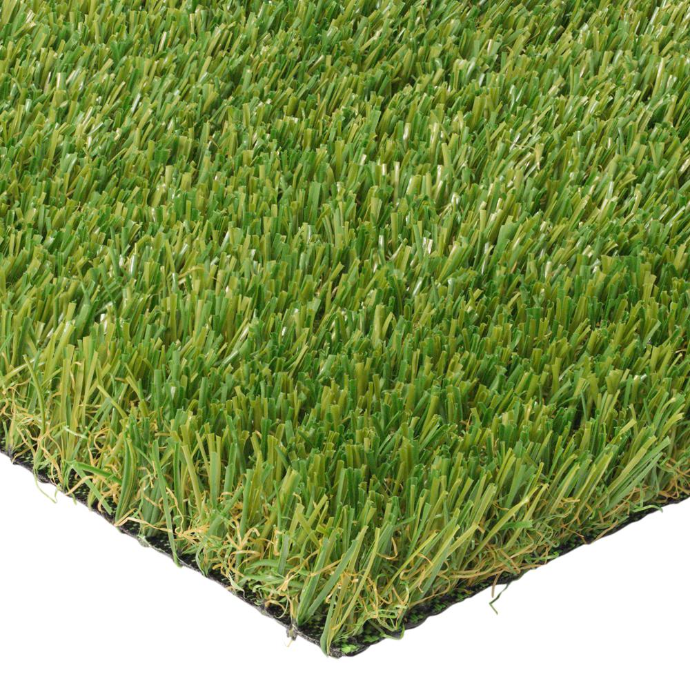 Trafficmaster Pet 3 75 Ft X 9 Ft Artificial Grass Pet Turf Stem