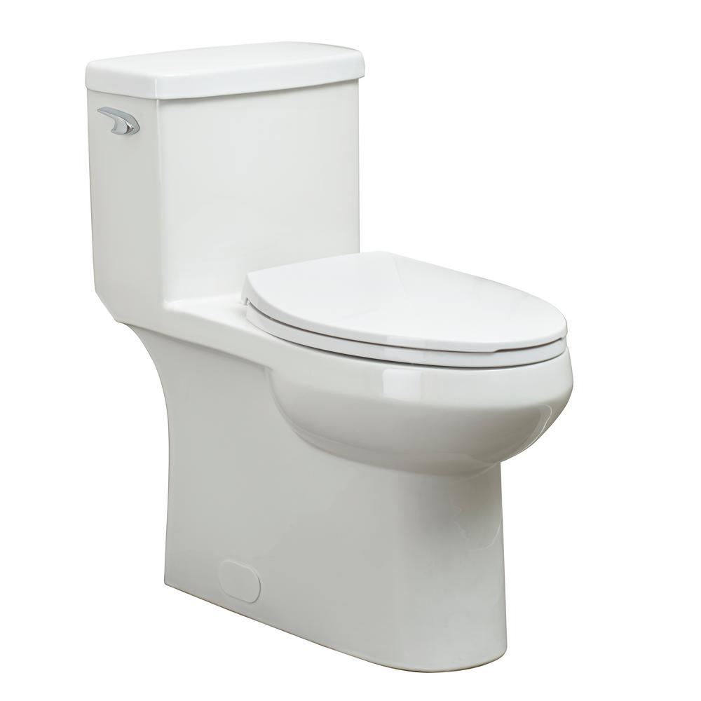 Foremost 1-Piece 1.28 GPF Single Flush Elongated Toilet FM trim in ...