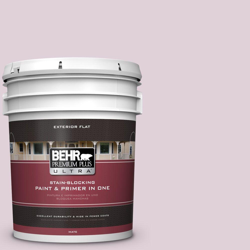BEHR Premium Plus Ultra 5gal. 690E2 Heather Rose Flat