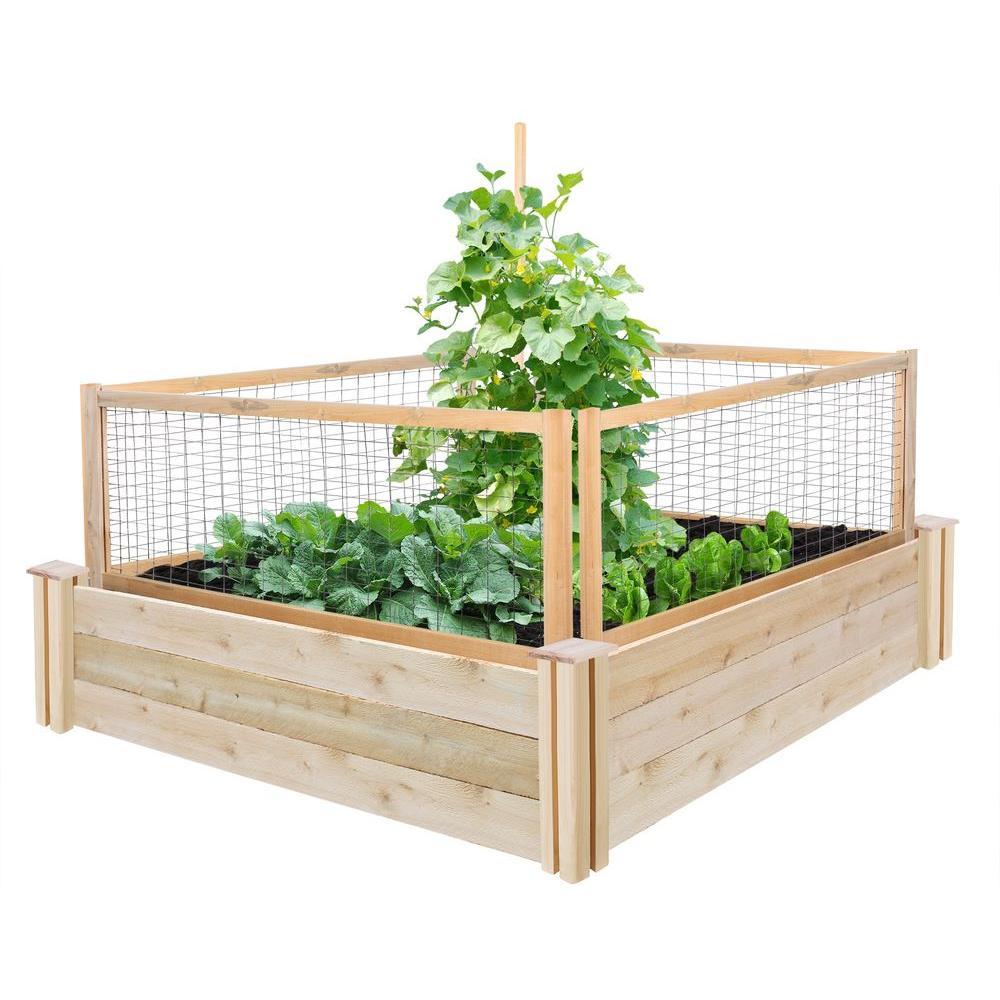 Greenes Fence 48 in. x 48 in. x 10.5 in. Cedar Raised Garden with