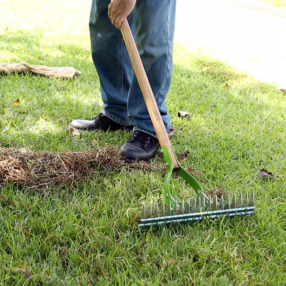 Garden Hand Moss Rake Garden Design Ideas