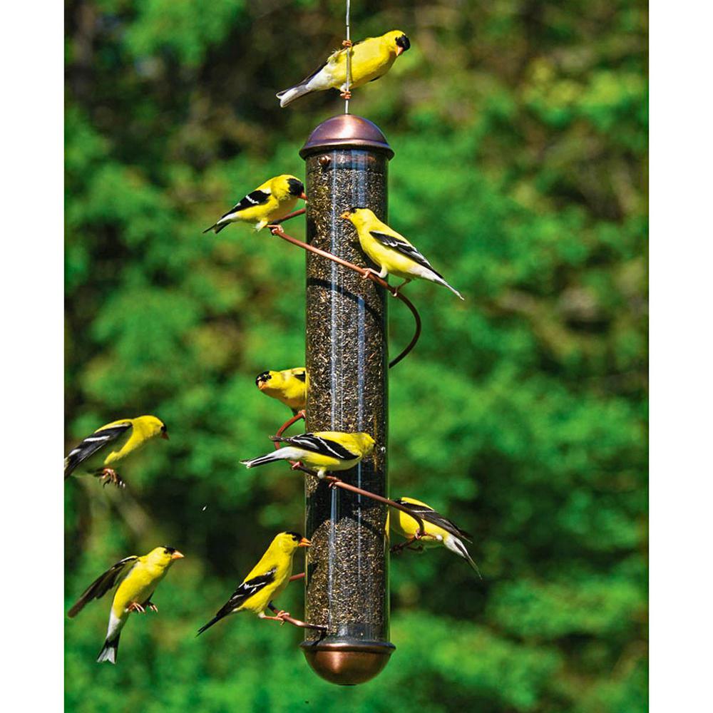 Droll Yankees 15 In Yellow Tubular Finch Bird Feeder Dy F15y