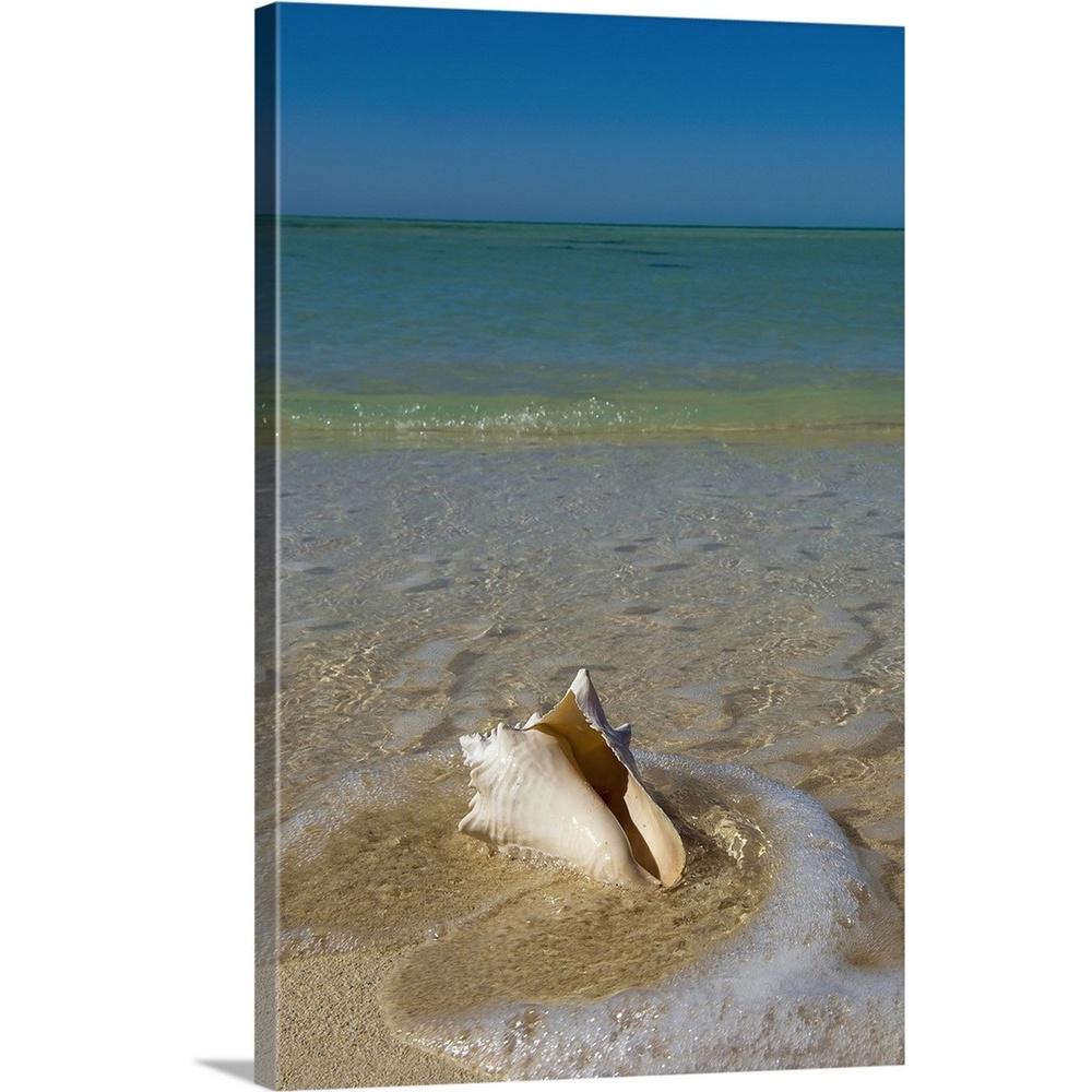 Greatcanvas Florida Keys Conch Shell On Sandy Beach Greatcanvas Florida Keys Conch Shell On Sandy Beach Key West