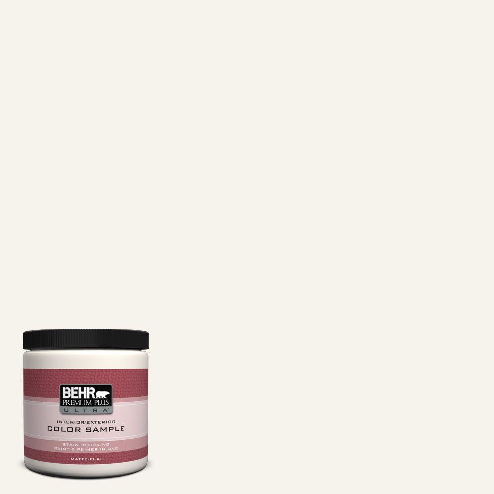 Image of home depot exterior paint and primer