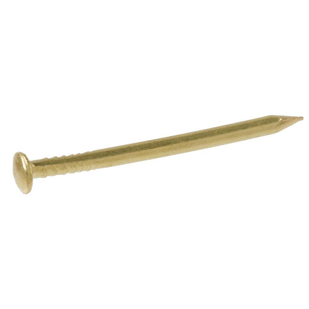 Everbilt 18 X 34 In Brass Escutcheon Pins 05 Oz Pack 801294 The Home Depot 