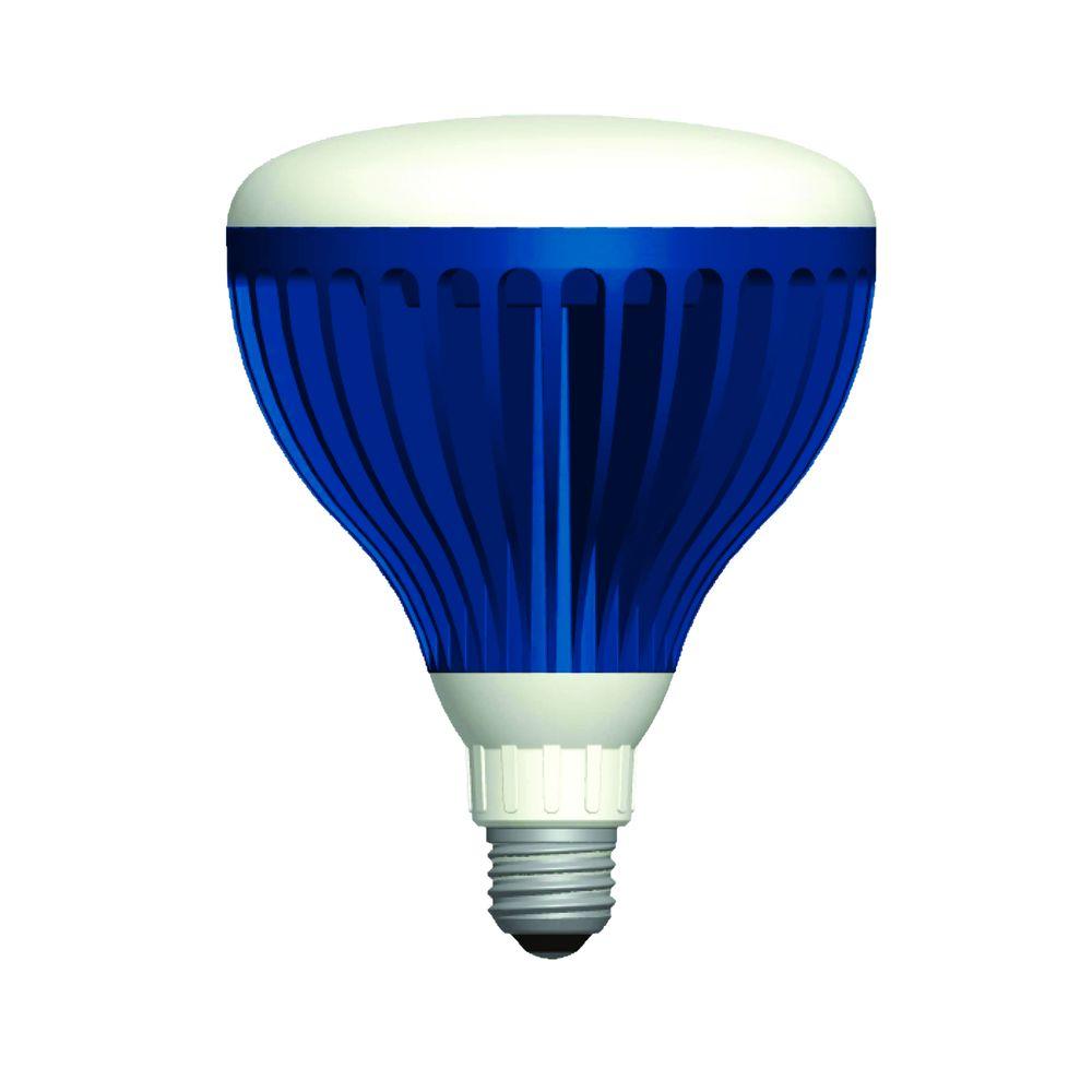 Pool Lighting The Home Depot 22 Watt Pure White 120 Volt Led Pool Light Bulb