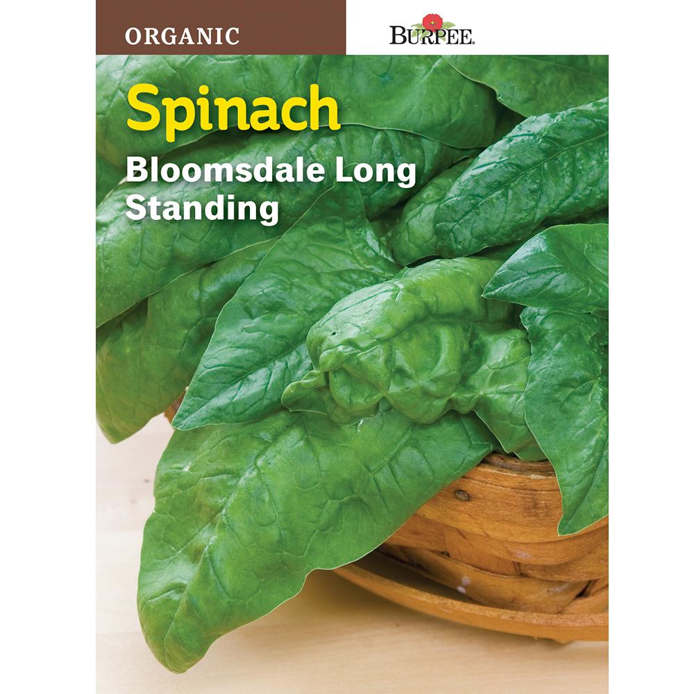 Burpee Organic Spinach Bloomsdale LongStanding Seed60564 The Home Depot