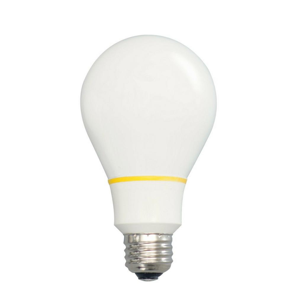 Philips 100-Watt Equivalent Incandescent A19 Light Bulb (2-Pack ...