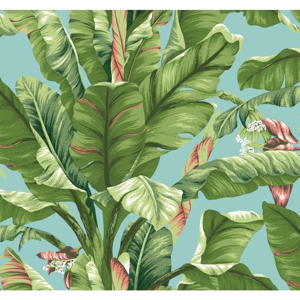 York Wallcoverings Tropics Banana  Leaf  Wallpaper  AT7070 