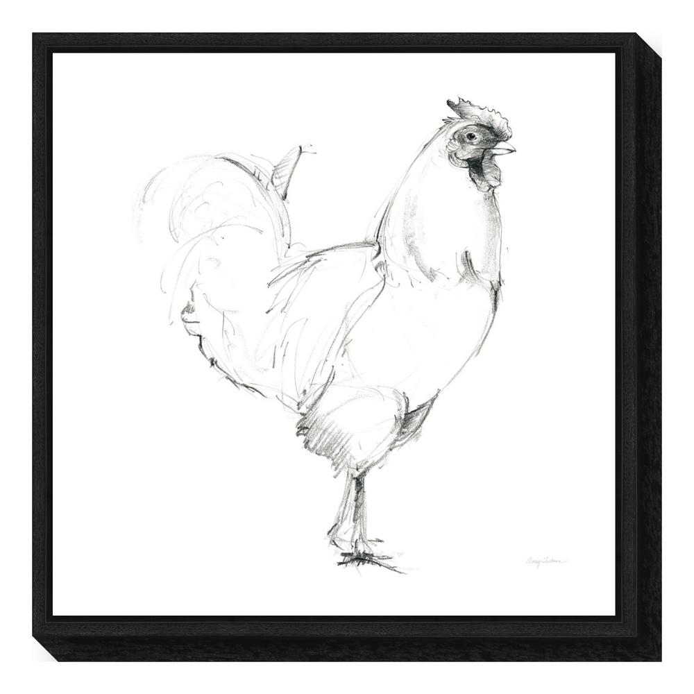 Amanti Art Rooster Ii Dark Square By Avery Tillmon Framed Canvas