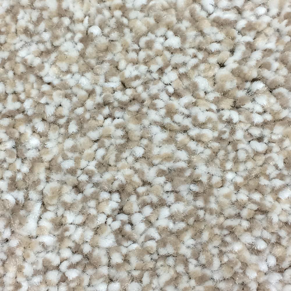Platinum Plus Carpet Sample Harvest I Color Granger Texture 8 In X Platinum Plus Carpet Sample Harvest I Color Granger Texture 8 In X