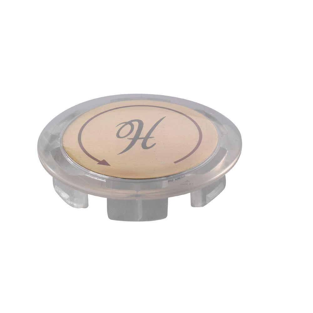 Glacier Bay Aragon Tub and Shower Index Cap HotRP90013 The Home Depot