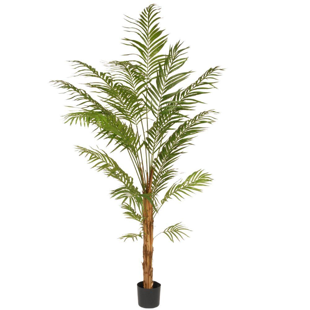 National Tree Company 7 Ft Deluxe Areca Potted Palm Tree Ras Th22524p7 The Home Depot