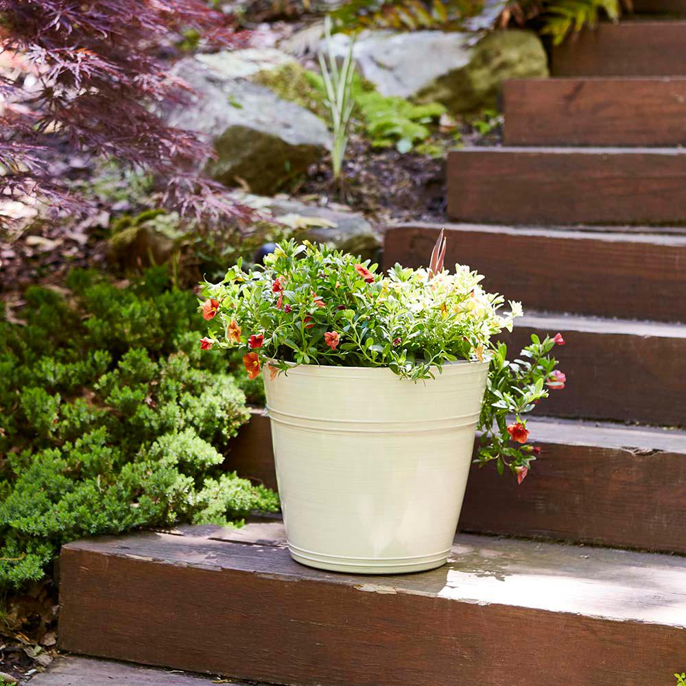 Southern Patio Rosemary 12 1 In Dia Chalk Resin Planter Fits 12in Drop N Bloom Hdr 052784 The Home Depot - Southern Patio Garden Pots Southern Patio Rosemary 12 1 In Dia Chalk Resin Planter Fits 12in Drop N Bloom Hdr 052784 The Home Depot - Southern Patio Garden Pots
