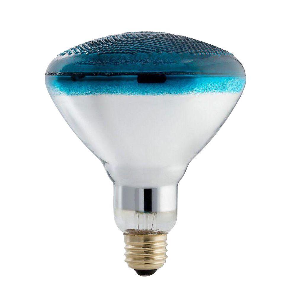 Philips Autism Speaks 100Watt Incandescent PAR38 Blue Flood Light Bulb