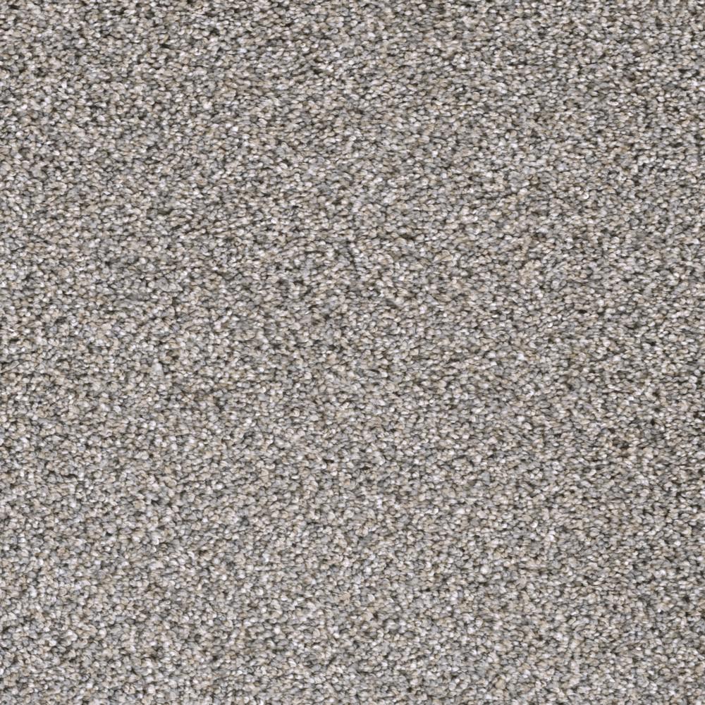 TrafficMASTER Otis Color Wealthy Texture 12 ft. CarpetH41212621200