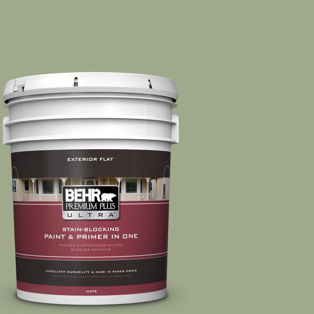 BEHR Premium Plus Ultra 5gal. PMD36 Mountain Sage Flat Exterior