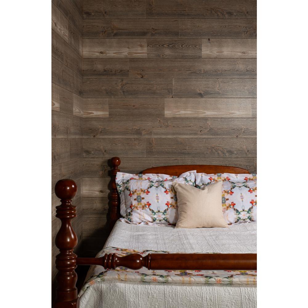 American Pacific 1/4 in. x 48 in. x 96 in. Barnwood Gray Wood Shiplap PanelL529100 The Home