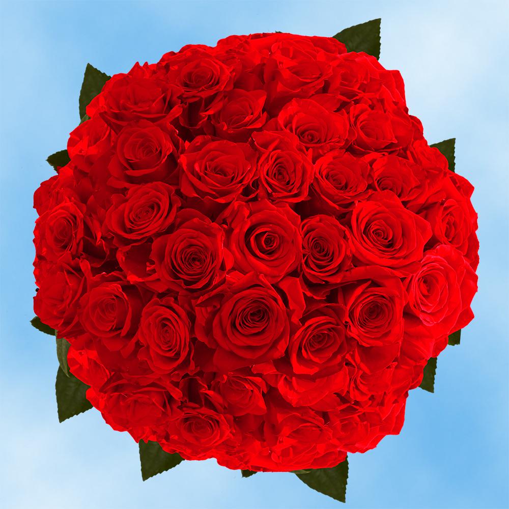 Red Rose Flower Buke Images