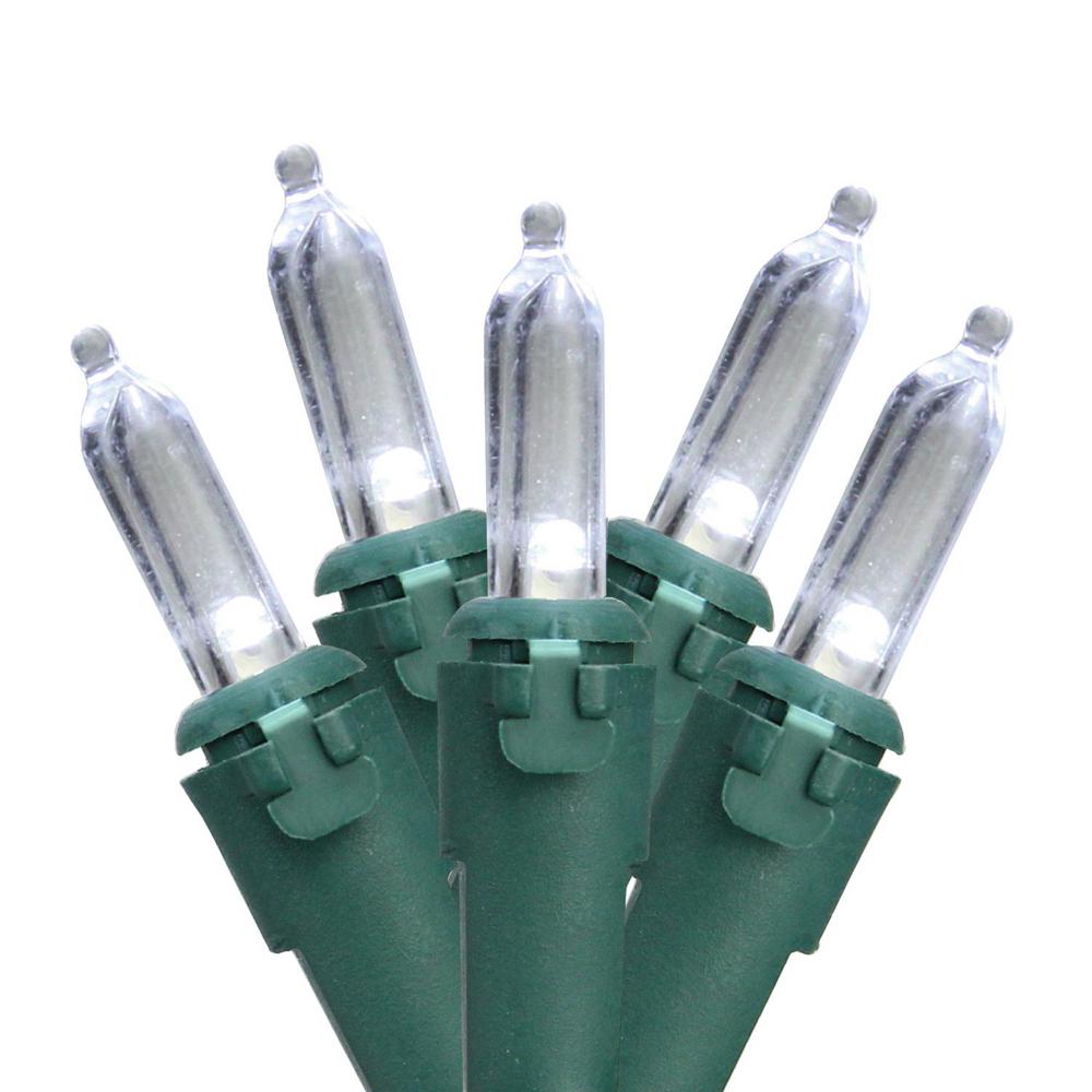 Northlight Set Of 50 Pure White Led Mini Christmas Lights With Pure White Led Mini Christmas Lights