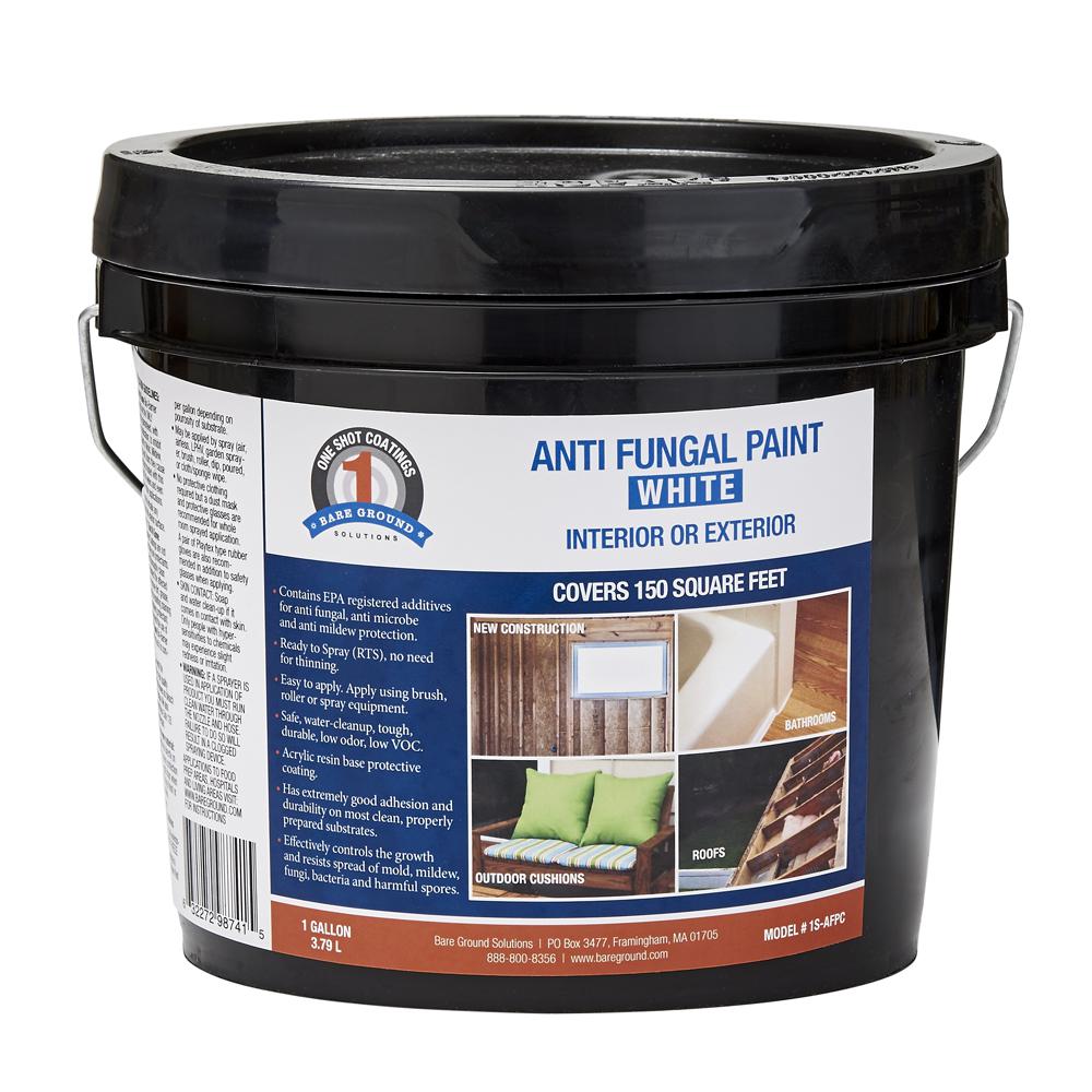 1 Shot 1 gal. White Anti-Fungal Paint-1S-AFPC - The Home Depot