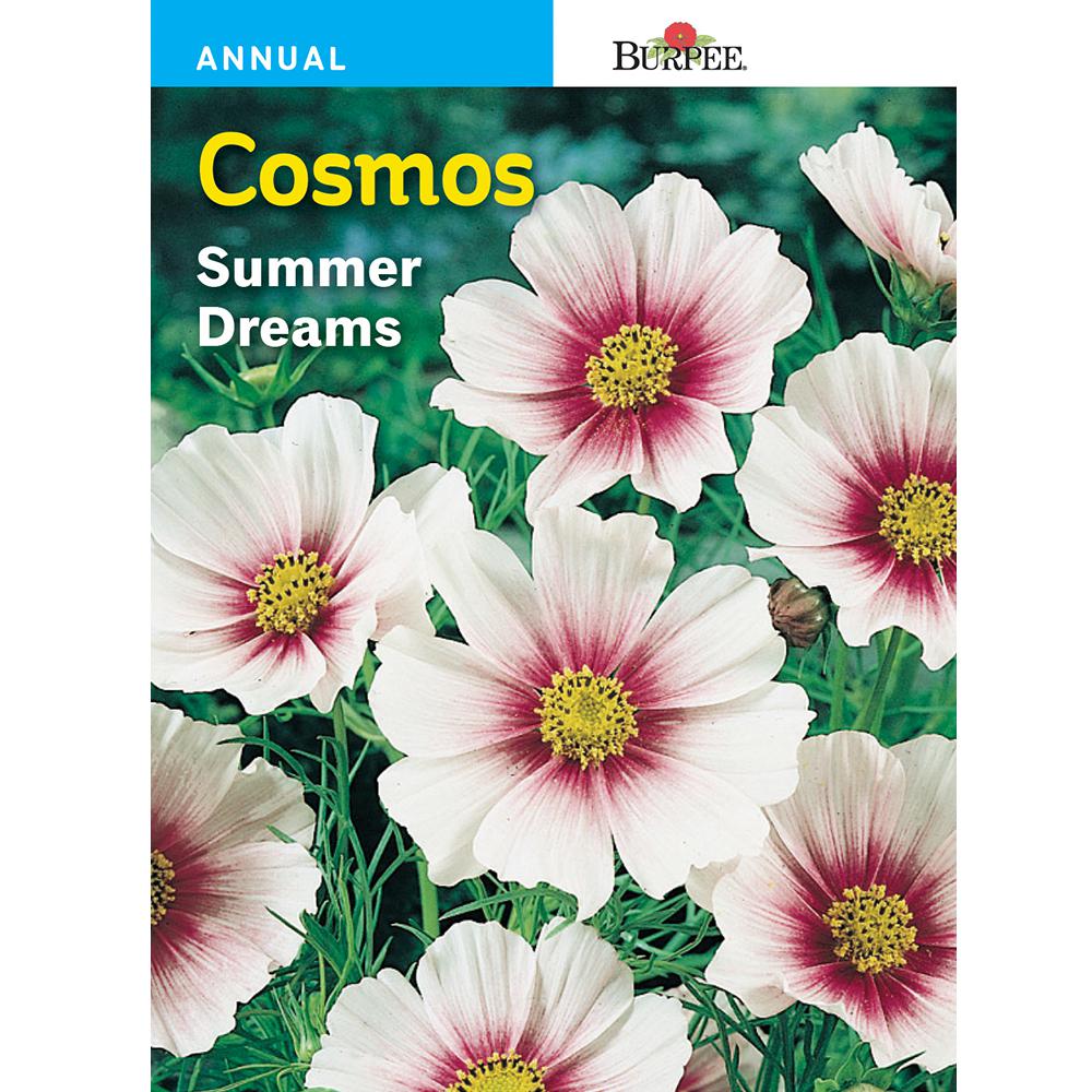Burpee Cosmos Summer Dreams Flower Seed31132 The Home Depot