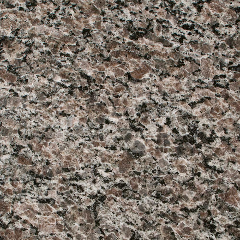 Stonemark 3 in. x 3 in. Granite Countertop Sample in New Caledonia-DT ...