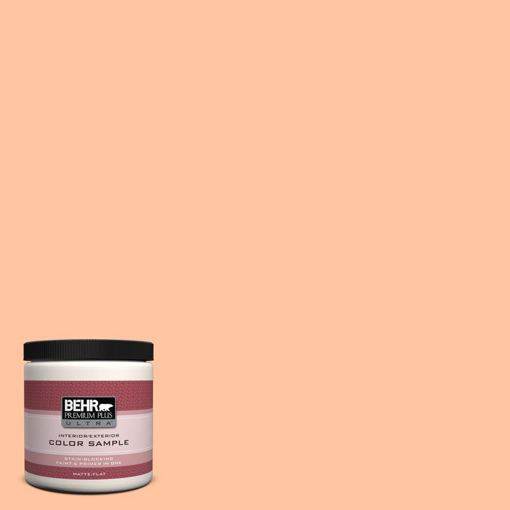 Behr Premium Plus Ultra 8 Oz 260b 4 Orange Sherbet Matte Interior 260b 4 Orange Sherbet Matte Interior