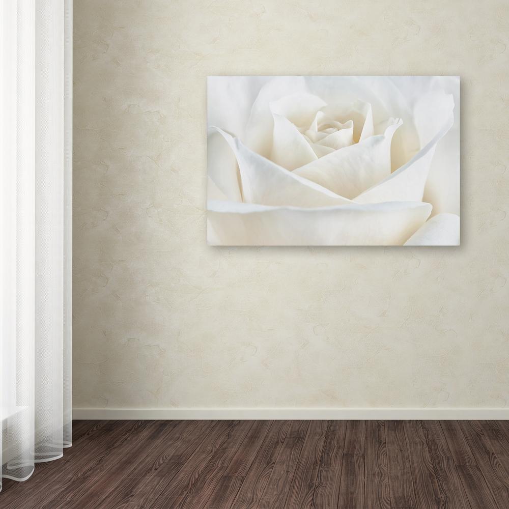 Trademark Fine Art 30 In X 47 In Pure White Rose By Cora Niele Printed Canvas Wall Art Ali1777 C3047gg The Home Depot