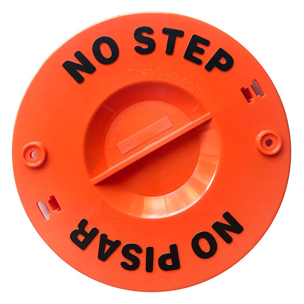 Toilet Flange The Home Depot