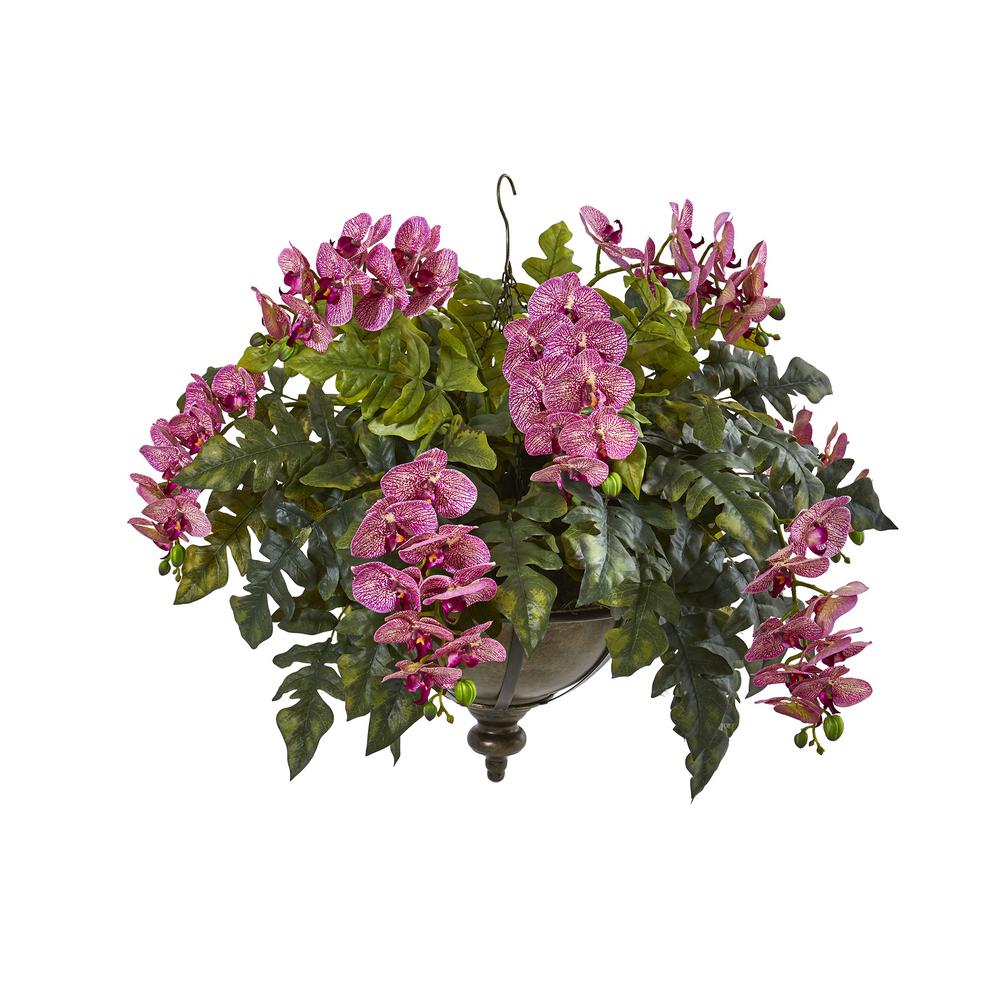 Nearly Natural 1605-OR Phalaenopsis Orchid and Mixed Succulent Garden Artificial Black Vase Silk Arrangements Purple