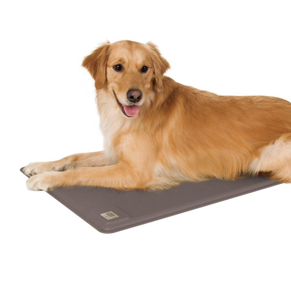 heated dog mat