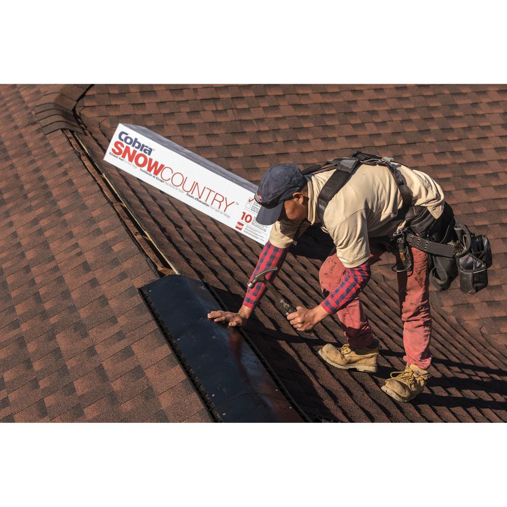 Builtin Screen Ridge Vents Roof Vents The Home Depot