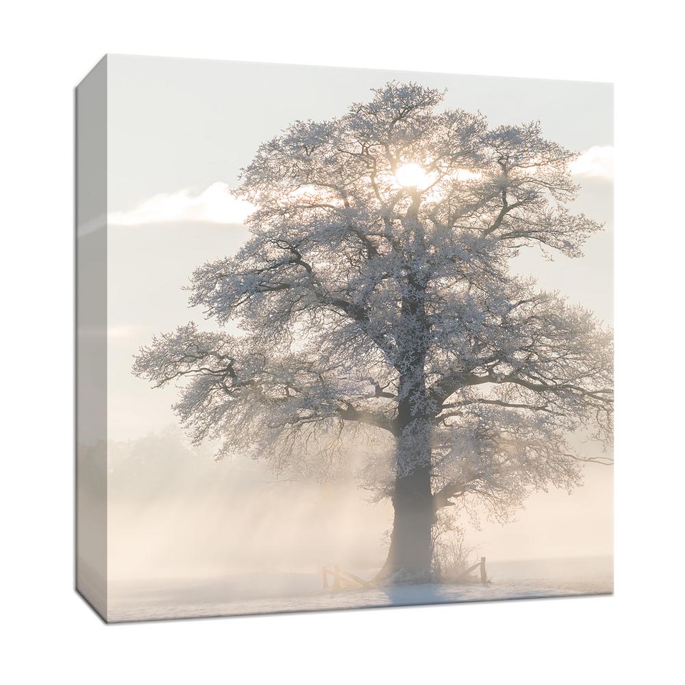 15 In X Winter King Canvas Wall Art