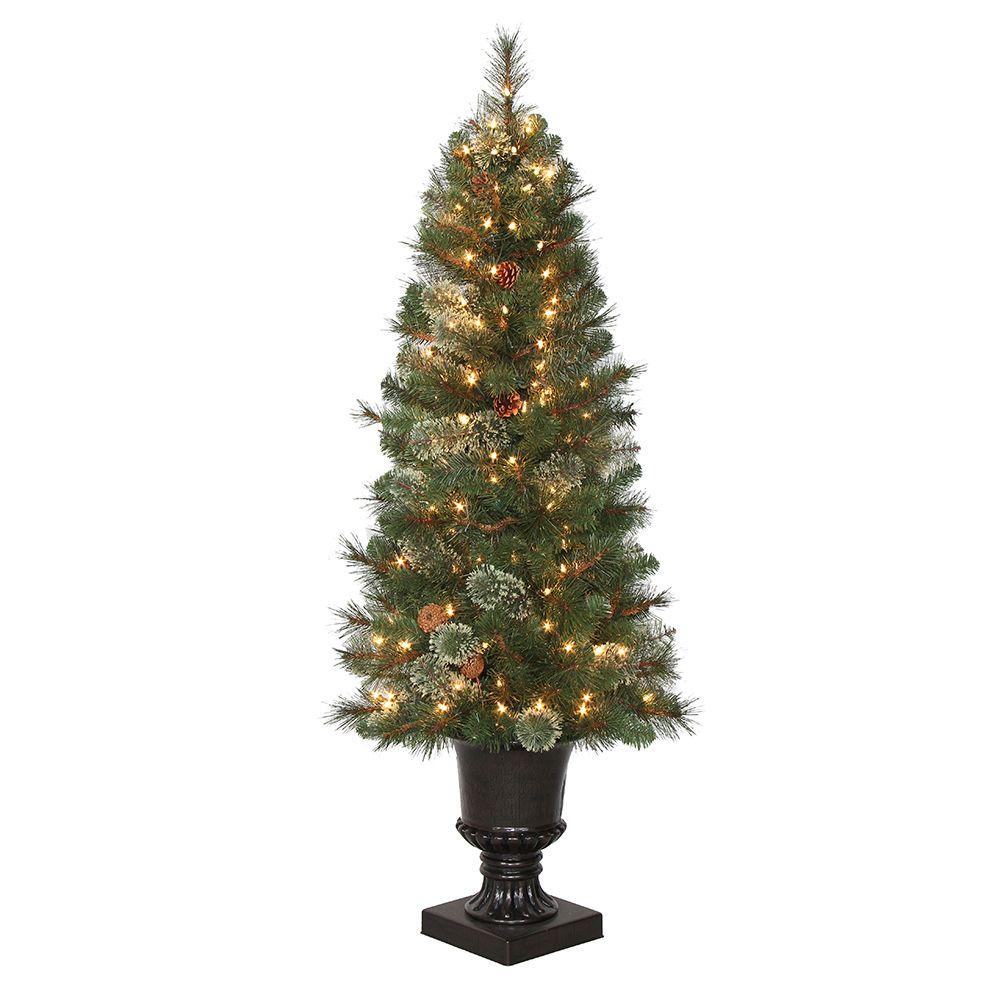 Small Lighted Christmas Trees 