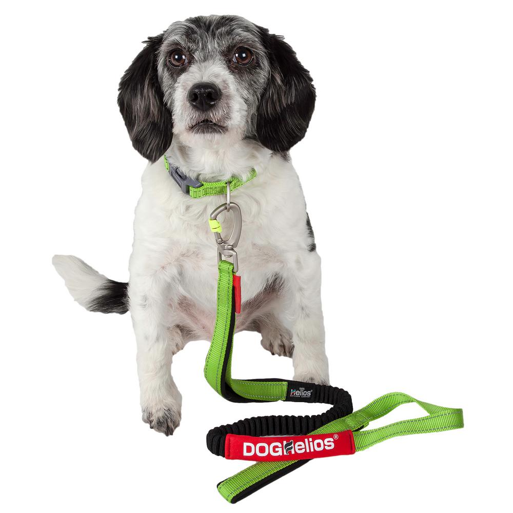 home depot dog leash