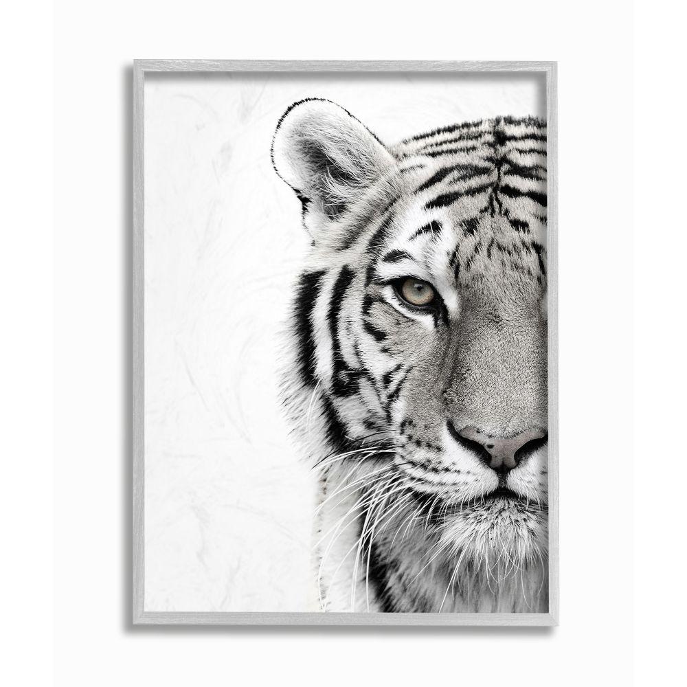 The Stupell Home Decor Collection 16 In X 20 In White Tiger Close Up Black And White Photography By Design Fabrikken Framed Wall Art Aap 293 Fr 16x20 The Home Depot